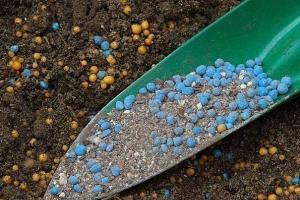 Gnojiva za baštu: šta su potrebna i zašto, kako ih primijeniti na tlo