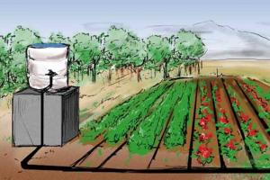 Drip irrigation device: operating principle and scope of application