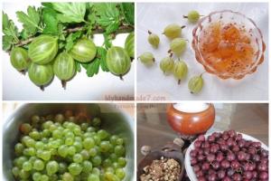 Royal gooseberry jam: detailed recipes with photos