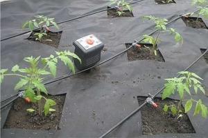 Do-it-yourself drip irrigation sa greenhouse at hardin